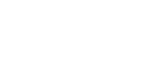 Rise Logo White